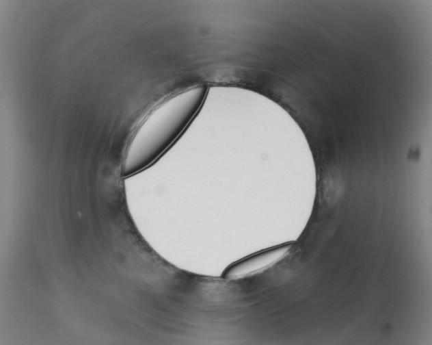 X0000112390521200909241242