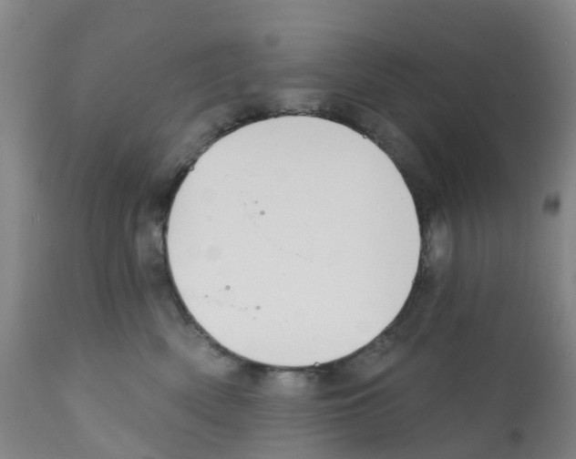 X0000112390522200909241242