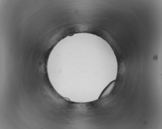 X0000112390524200909241242