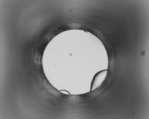 X0000112390525200909241242