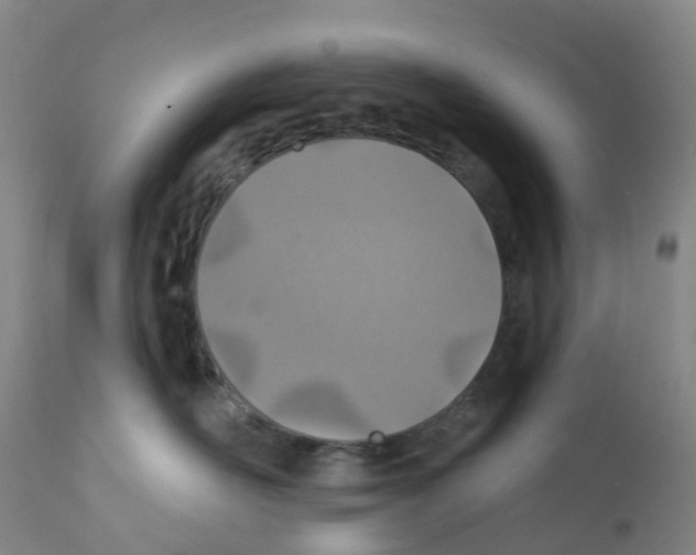 X0000112390526200909241242