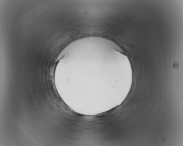 X0000112390528200909241242