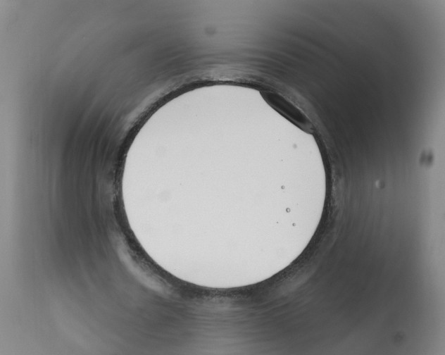 X0000112390530200909241241
