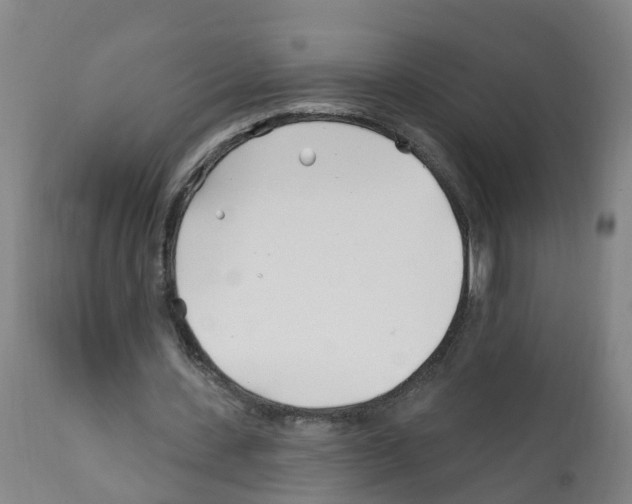 X0000112390531200909241241