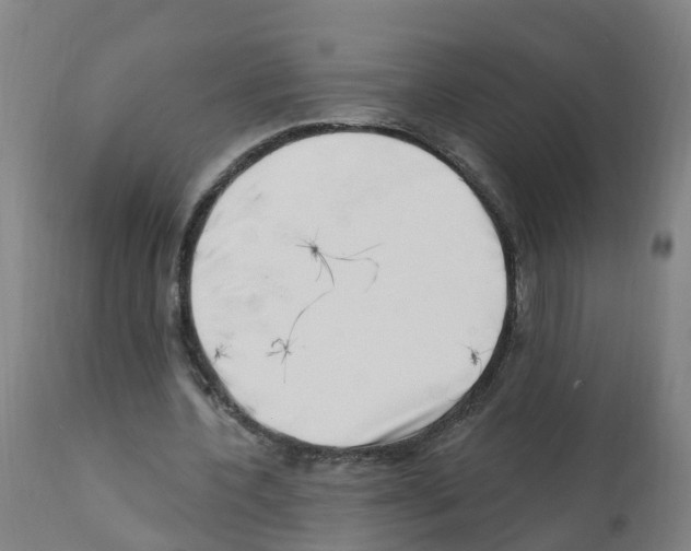 X0000112390532200909241241