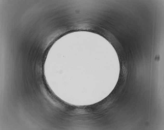 X0000112390534200909241241