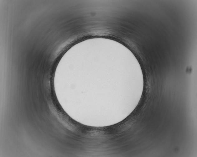 X0000112390535200909241241