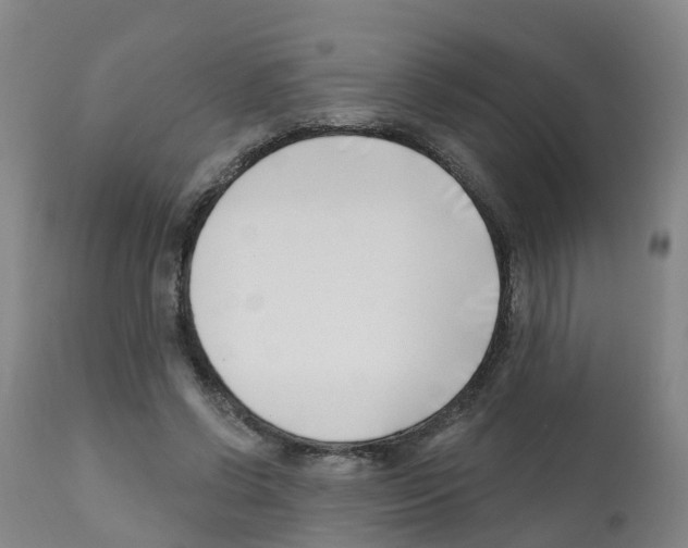 X0000112390542200909241241