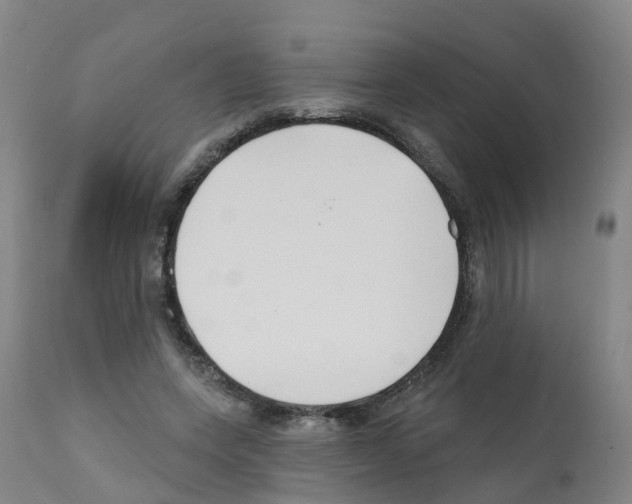X0000112390543200909241241