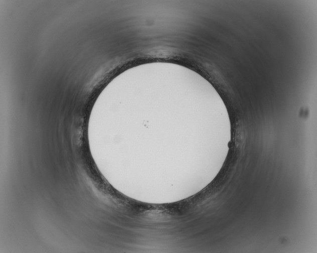 X0000112390544200909241241