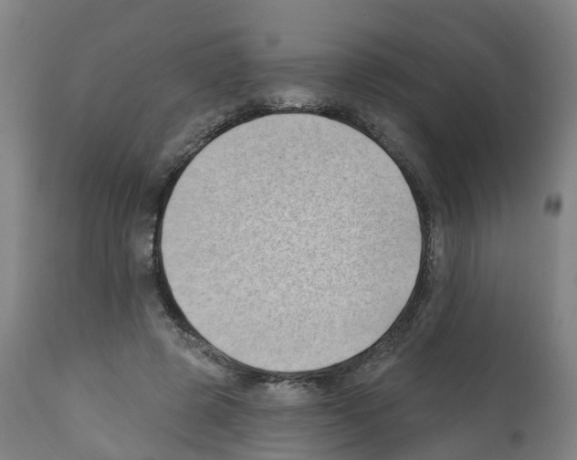 X0000112390545200909241241