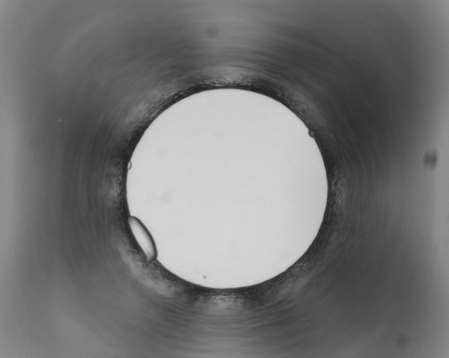 X0000112390546200909241241