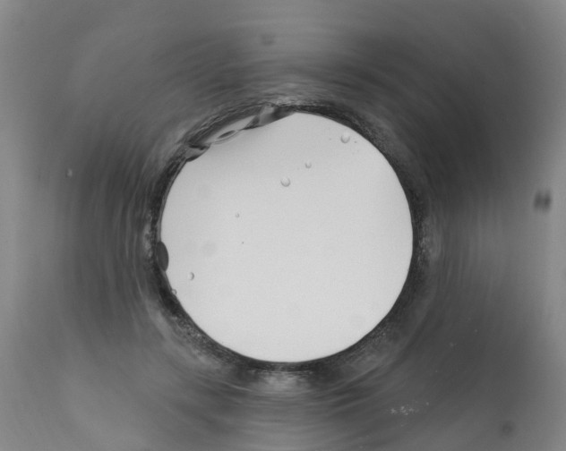 X0000112390547200909241241