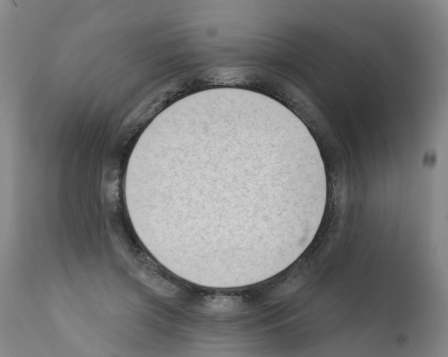 X0000112390549200909241241