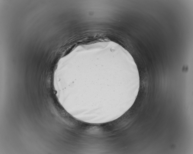 X0000112390551200909241241