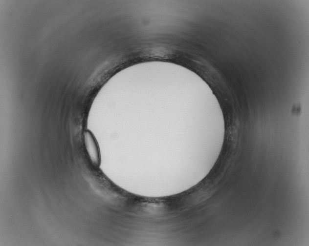 X0000112390552200909241241