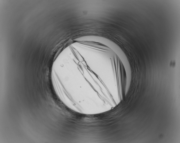 X0000112390556200909241241