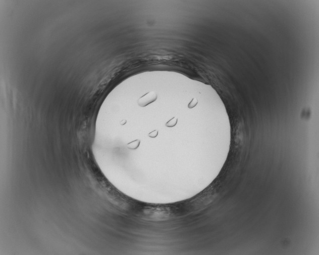 X0000112390559200909241241
