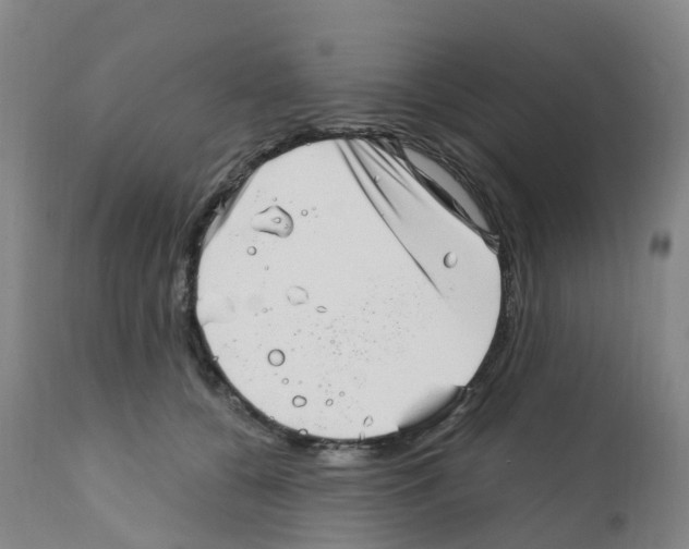 X0000112390560200909241241