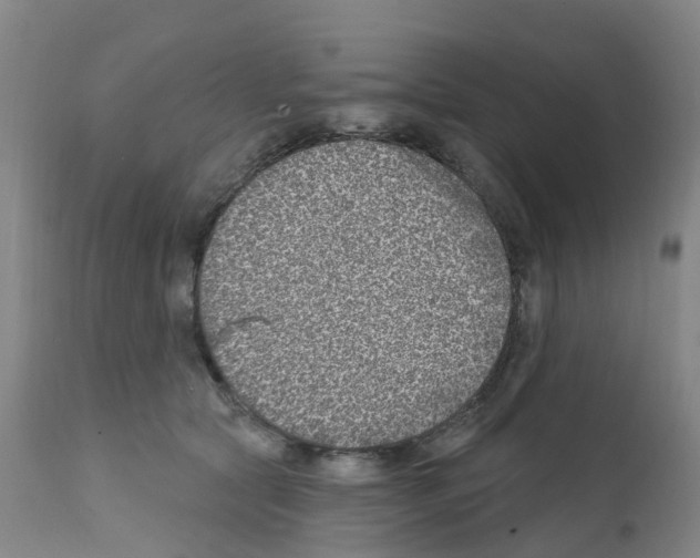 X0000112390561200909241241