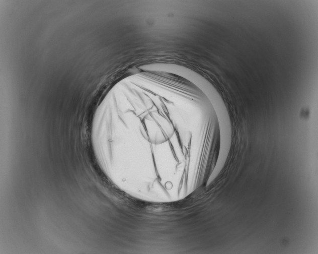 X0000112390564200909241241