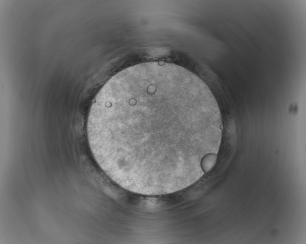 X0000112390565200909241241
