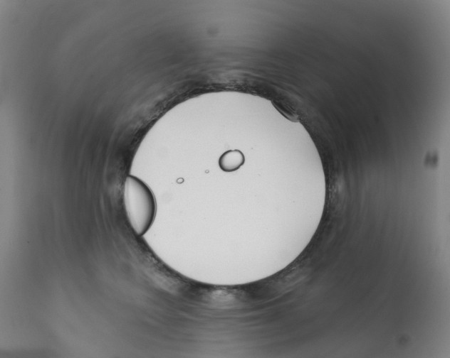 X0000112390566200909241241
