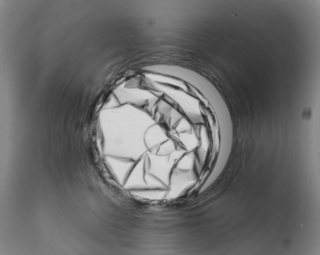 X0000112390568200909241241