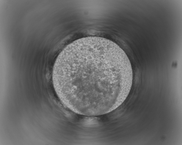 X0000112390569200909241241