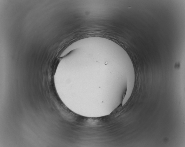 X0000112390570200909241241
