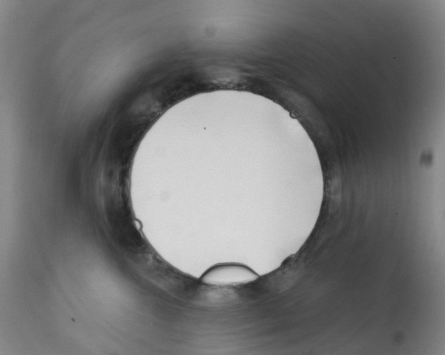 X0000112390572200909241242