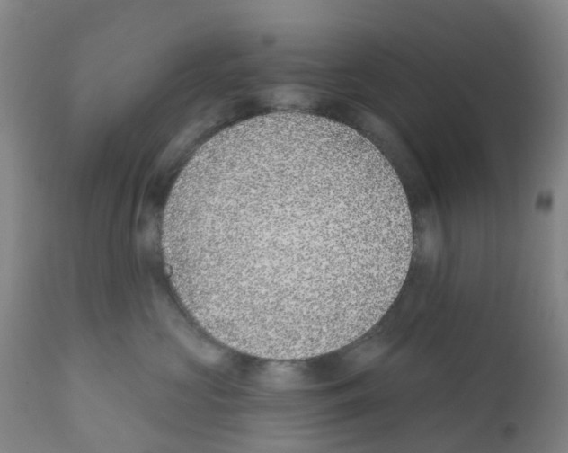X0000112390573200909241242