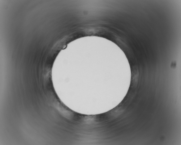 X0000112390574200909241242