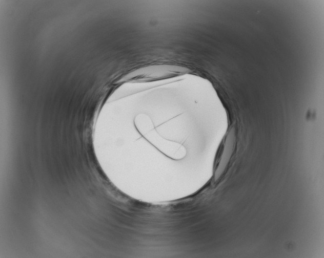 X0000112390576200909241242