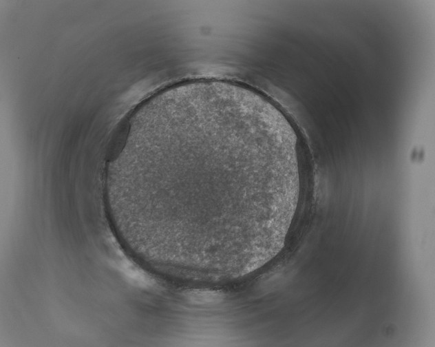 X0000112390577200909241241