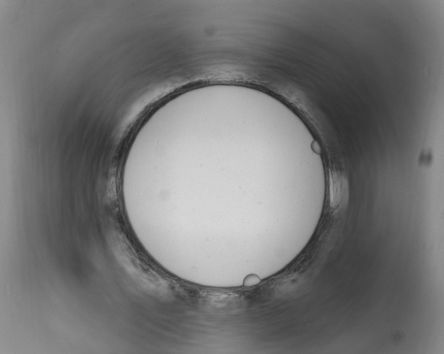 X0000112390579200909241241