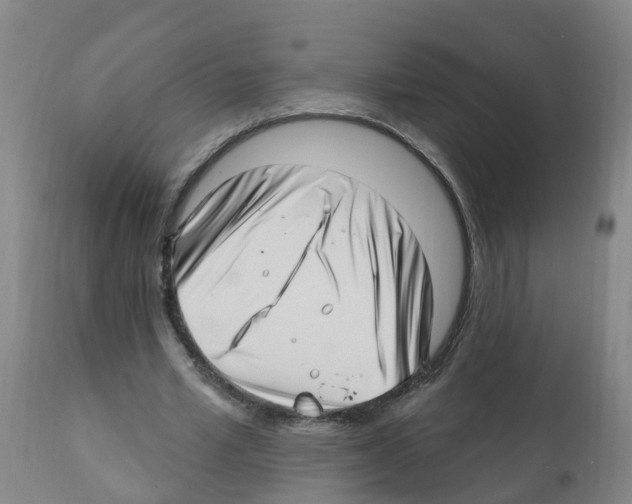 X0000112390581200909241241