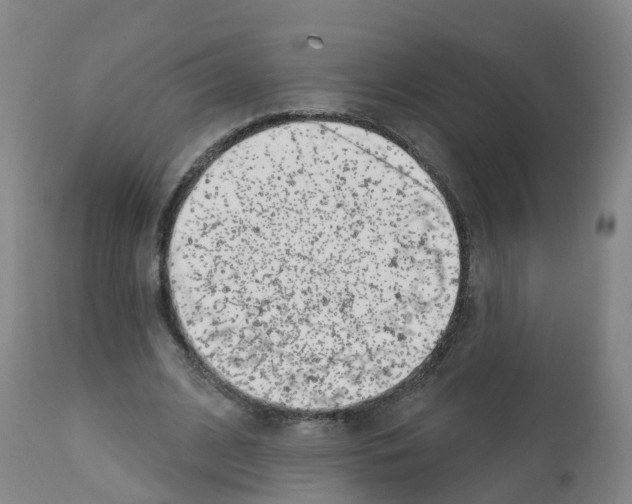 X0000112390584200909241241