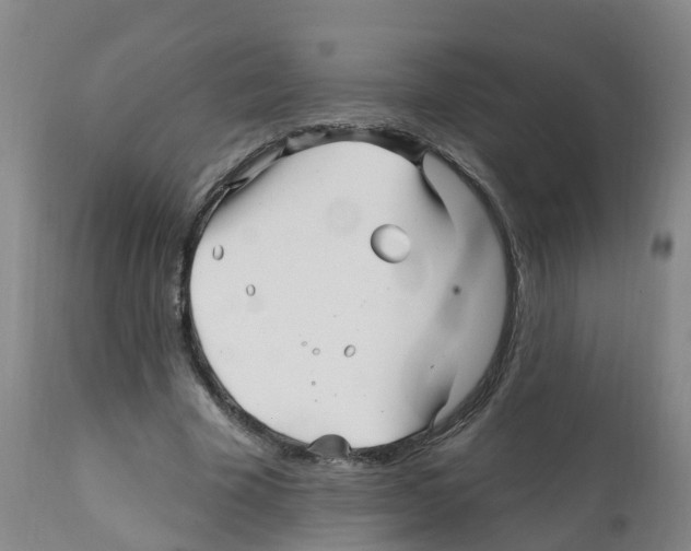 X0000112390585200909241241