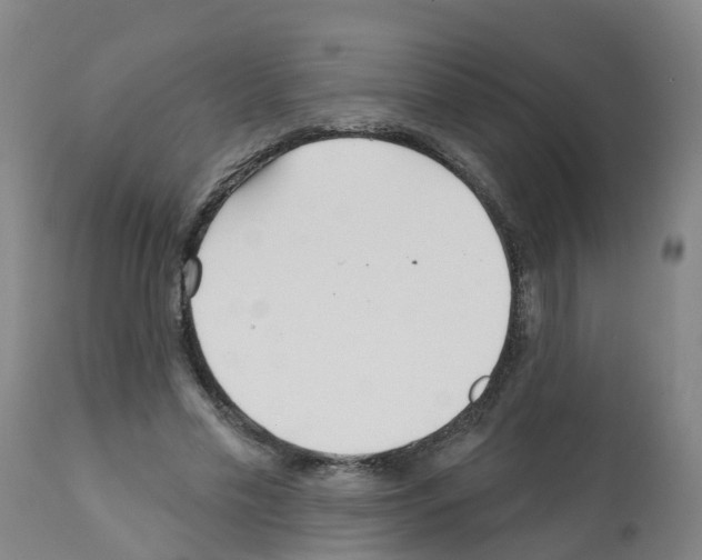 X0000112390589200909241241
