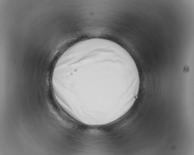 X0000112390590200909241241