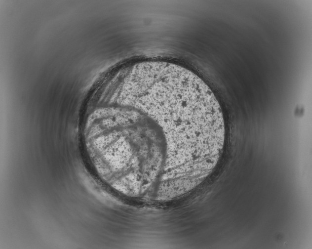 X0000112390592200909241241
