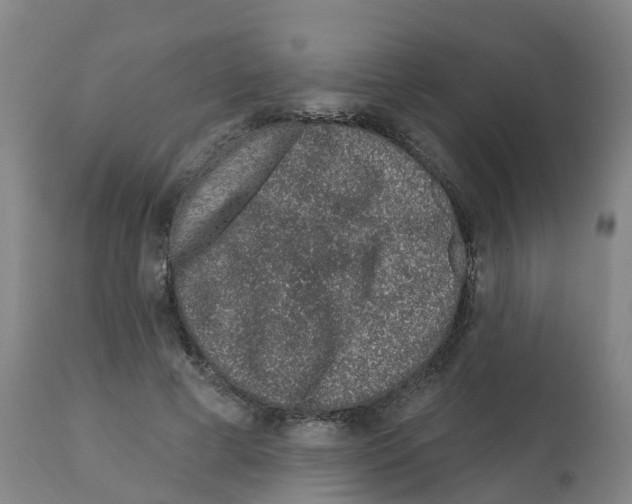 X0000112390593200909241241
