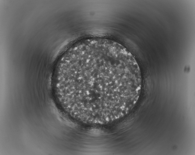 X0000112390596200909241241