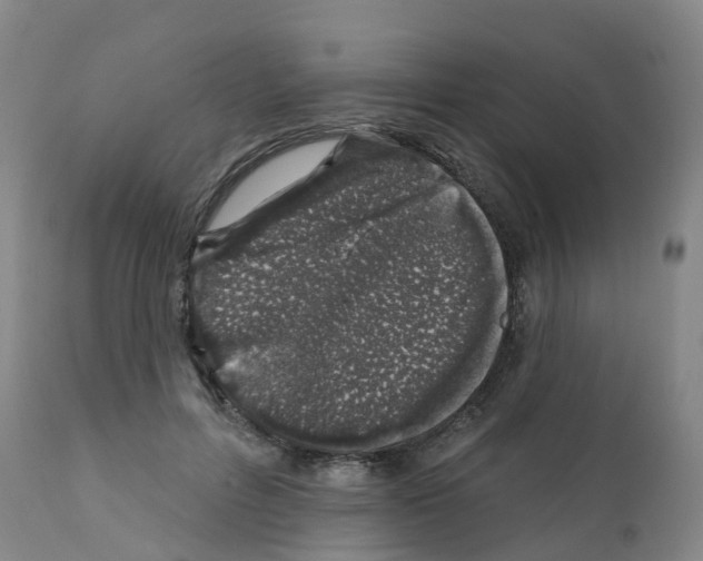 X0000112390600200909241241