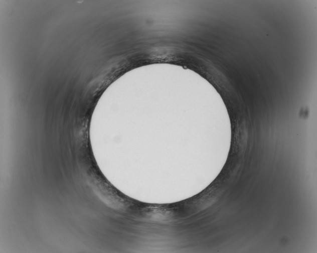 X0000112390601200909241241