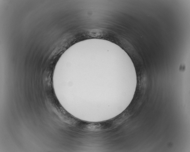 X0000112390606200909241240
