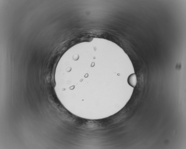 X0000112390608200909241240