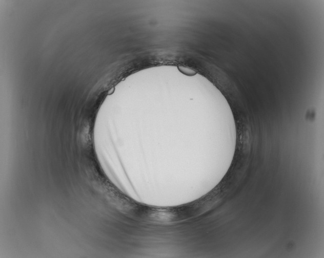 X0000112390610200909241240