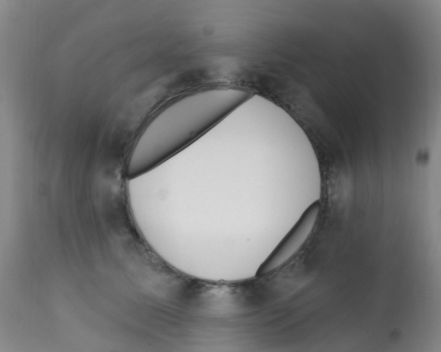 X0000112390611200909241240
